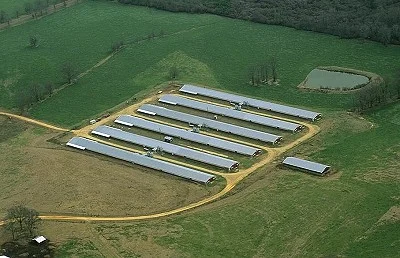 Aerial view of a poultry farm with multiple poultry houses in Delaware, USA