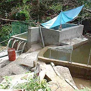 Small rural surface-water intake and collection structure in a forested area