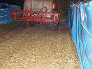 Tractor-mounted spray boom applying liquid over a layer of chopped silage