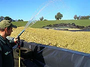 Worker manually spraying liquid over chopped silage with a hose