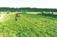 Agricultural worker and machinery operating in a green forage field