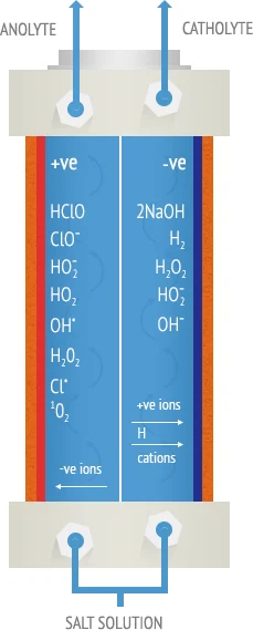 Diagram of Envirolyte diaphragmatic cell showing anolyte and catholyte generation from salt solution