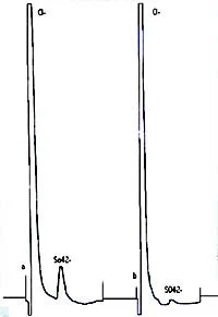 Ion chromatogram of Anolyte Medium sample with sulphate ion added