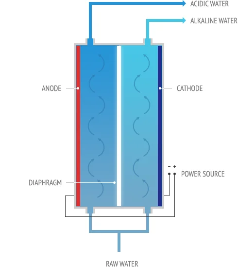 Diagram of Envirolyte industrial water ionizer showing raw water, diaphragm, anode, cathode, acidic water and alkaline water streams