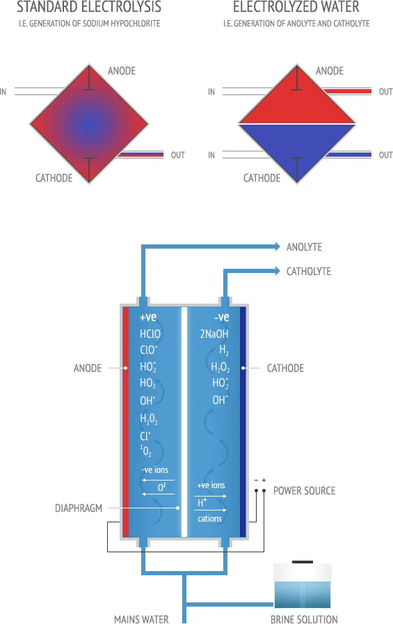 Envirolyte electrochemical activation diagram showing anolyte and catholyte generation in a diaphragmatic electrolysis cell